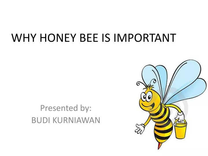 why honey bee is important