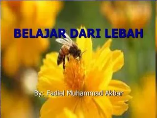 belajar dari lebah