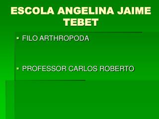 escola angelina jaime tebet