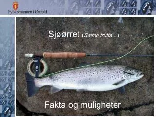 sj rret salmo trutta l