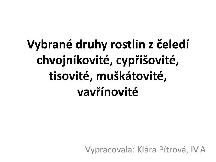 vybran druhy rostlin z eled chvojn kovit cyp i ovit tisovit mu k tovit vav novit