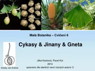 mal botanika cvi en 6
