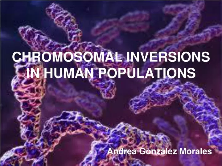 chromosomal inversions in human populations