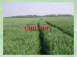 OBILNINY