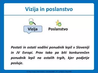 vizija in poslanstvo
