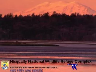 Nisqually National Wildlife Refuge Complex