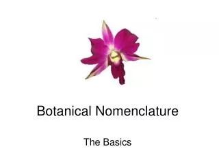 Botanical Nomenclature