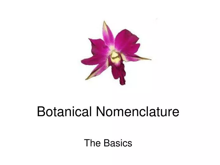 botanical nomenclature