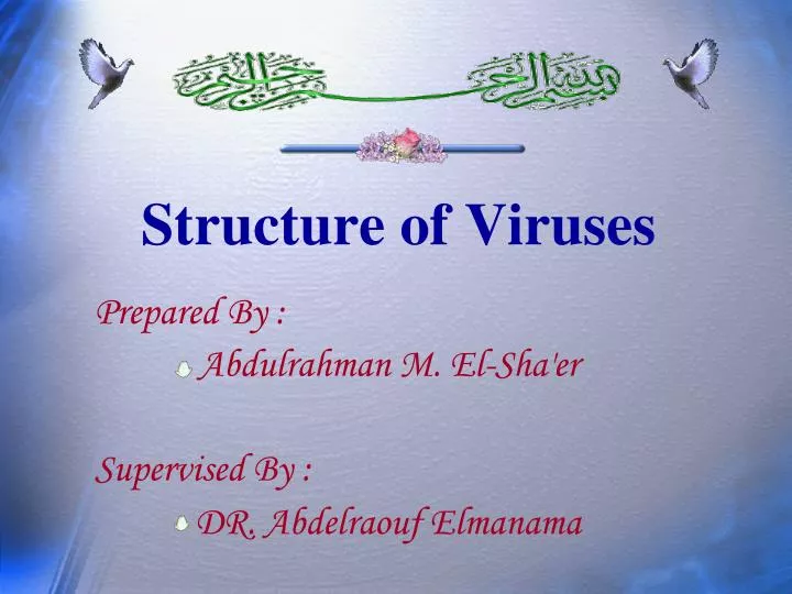 structure of viruses