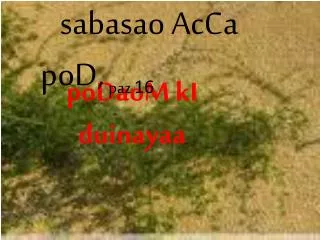 podaom ki duinayaa