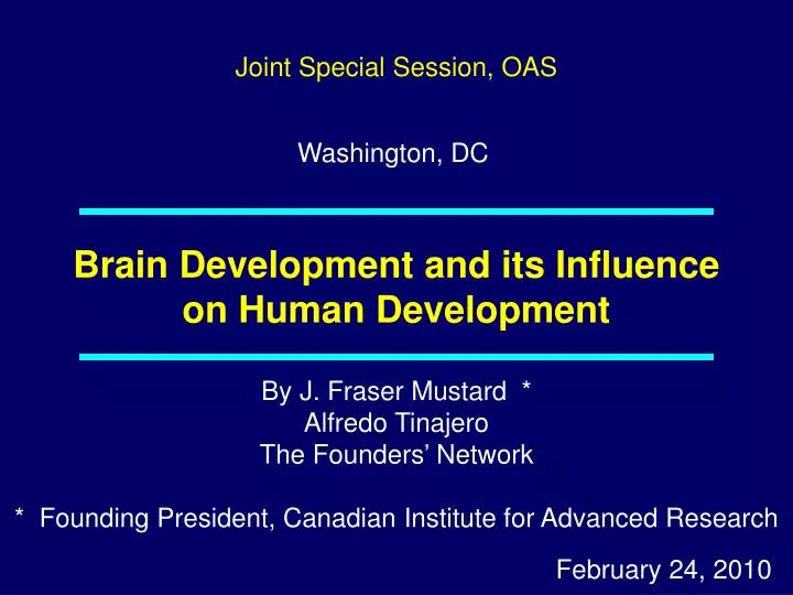 brain development and its influence on human development