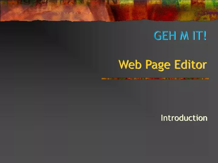 geh m it web page editor