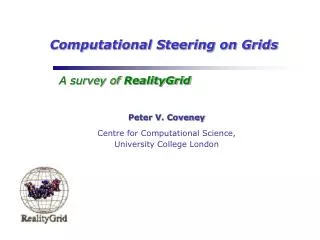 Computational Steering on Grids