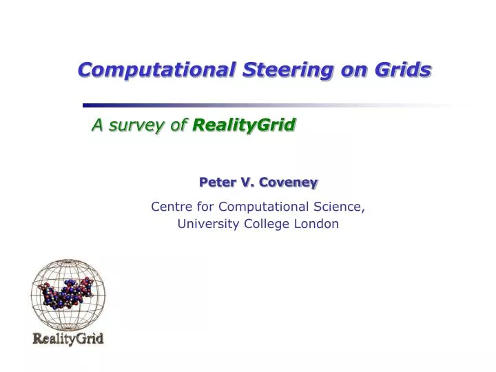 computational steering on grids