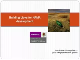 Building bloks for NAMA development