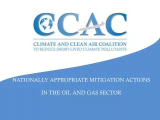 NATIONALLY APPROPRIATE MITIGATION ACTIONS IN THE OIL AND GAS SECTOR