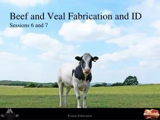 Beef and Veal Fabrication and ID Sessions 6 and 7