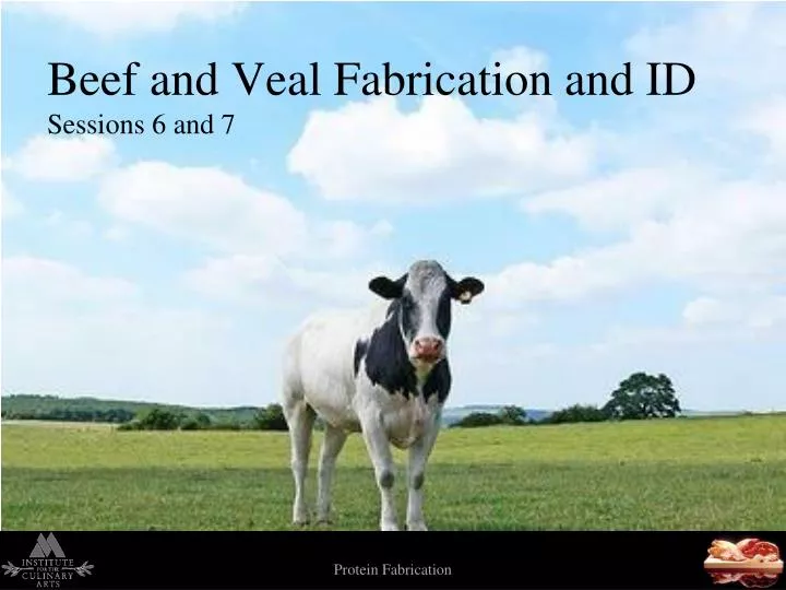 beef and veal fabrication and id sessions 6 and 7
