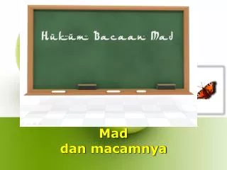 mad dan macamnya