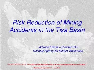 Risk Reduction of Mining Accidents in the Tisa Basin