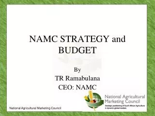 NAMC STRATEGY and BUDGET