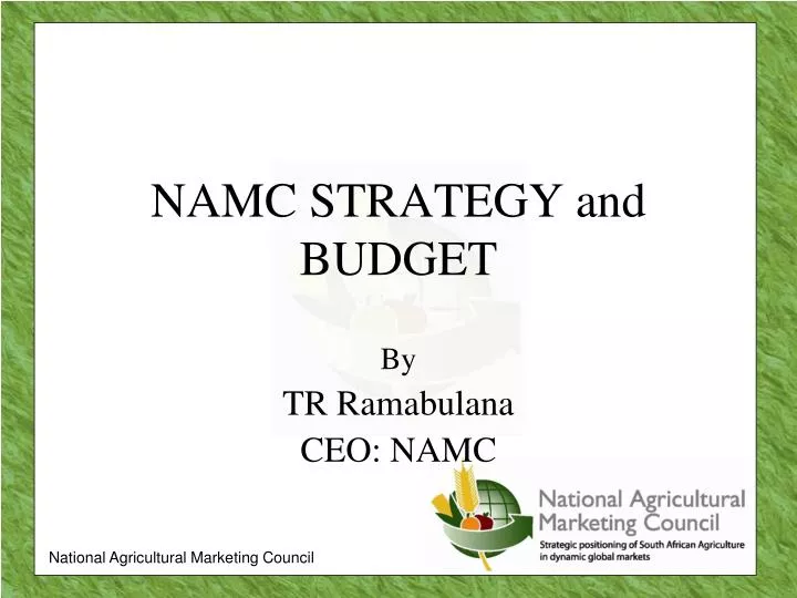 namc strategy and budget