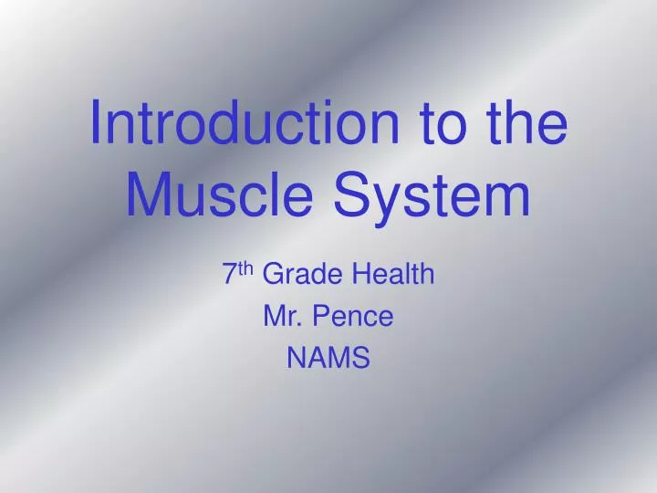 introduction to the muscle system