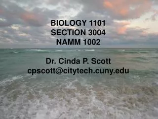 BIOLOGY 1101 SECTION 3004 NAMM 1002 Dr. Cinda P. Scott cpscott@citytech.cuny