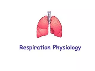 Respiration Physiology