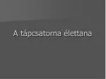 A tápcsatorna élettana - slide 1