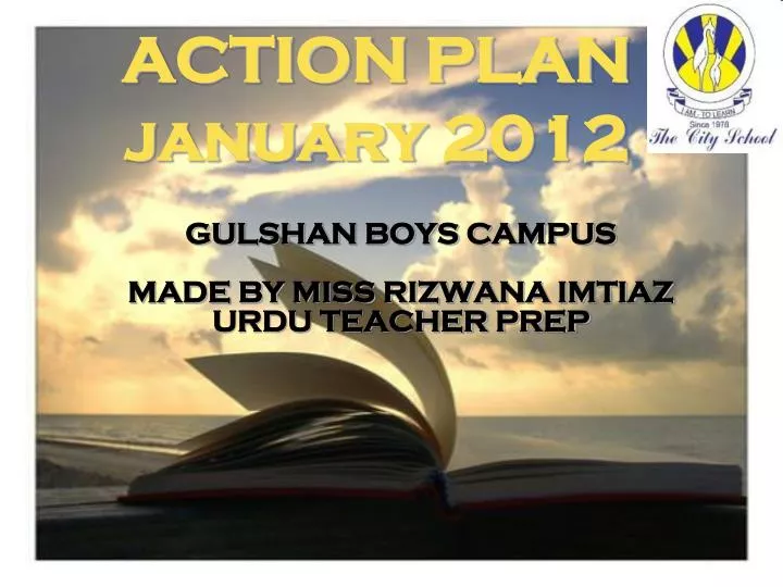action plan january 2012