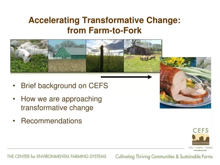accelerating transformative change from farm to fork