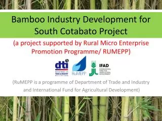 Bamboo Industry Development for South Cotabato Project