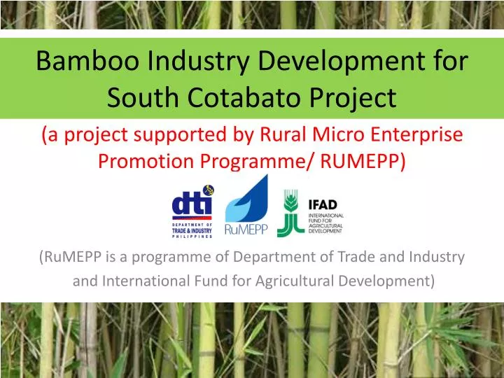 bamboo industry development for south cotabato project