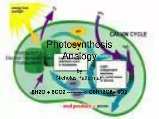 Photosynthesis Analogy