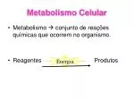 Metabolismo Celular - slide 1