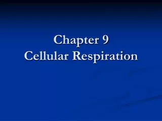 Chapter 9 Cellular Respiration