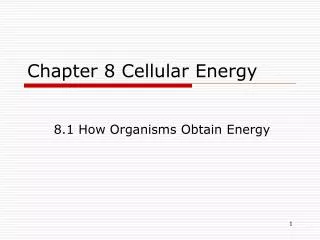 Chapter 8 Cellular Energy