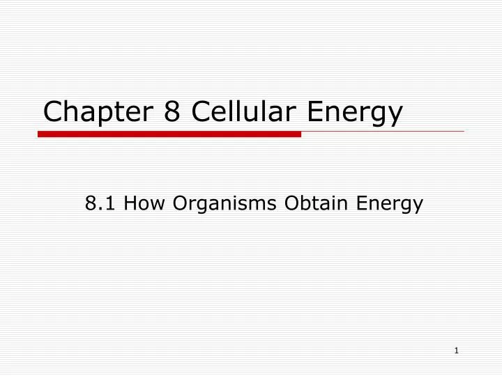 chapter 8 cellular energy