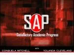 SAP - slide 1