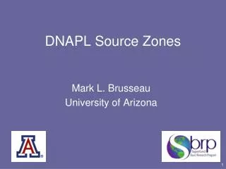 DNAPL Source Zones