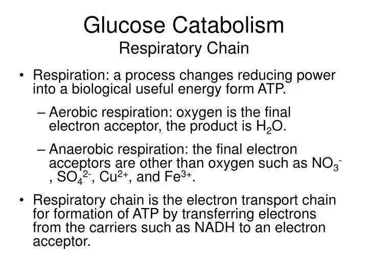 glucose catabolism respiratory chain