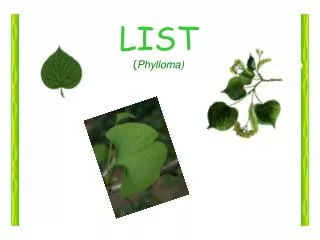 LIST ( Phylloma)