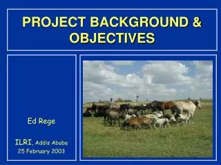PROJECT BACKGROUND &amp; OBJECTIVES