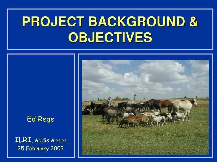 project background objectives