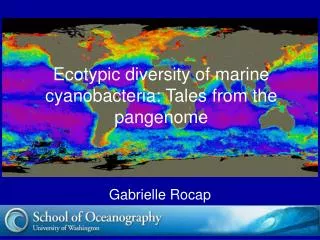 Ecotypic diversity of marine cyanobacteria: Tales from the pangenome