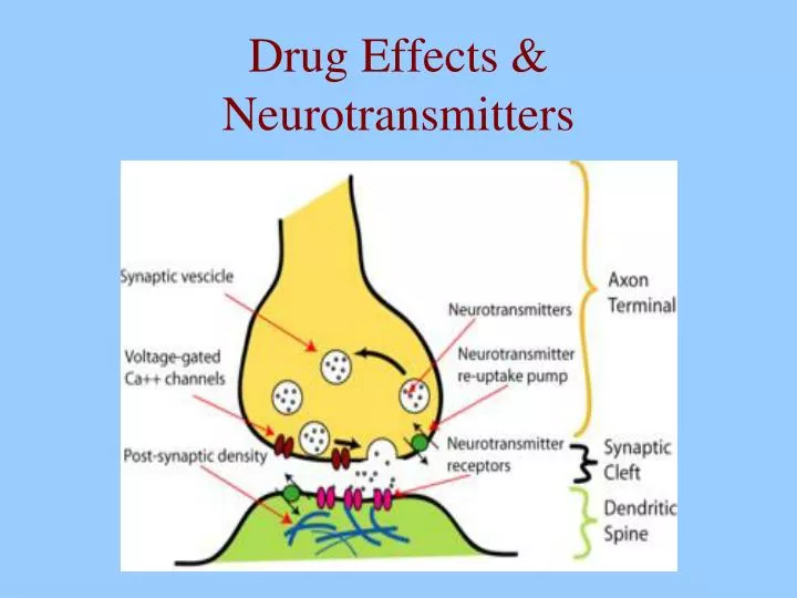 drug effects neurotransmitters