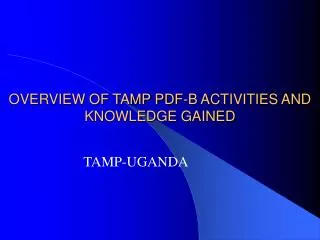 OVERVIEW OF TAMP PDF-B ACTIVITIES AND KNOWLEDGE GAINED