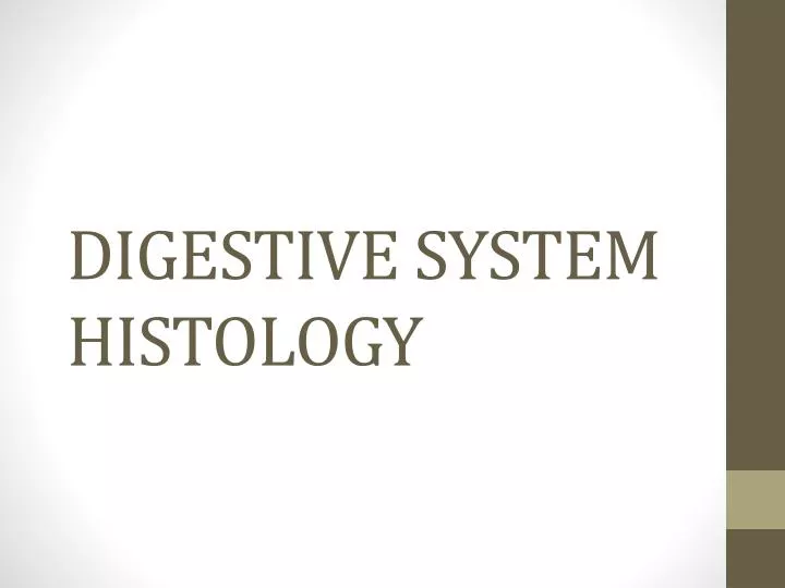 digestive system histology