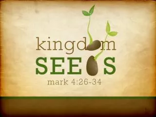 Sowing the seed of the word Acts 8:
